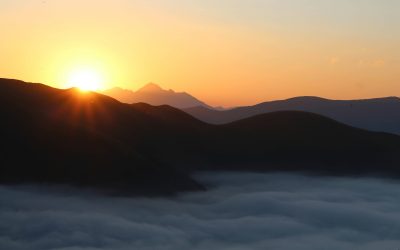 NON SEI LONTANO DAL REGNO DI DIO